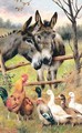 Donkey And Ducks - Herbert William Weekes