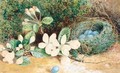 Bird's Nest With Apple Blossom - Emma Walter