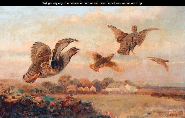 Grouse In Flight - William Woodhouse