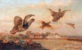 Grouse In Flight - William Woodhouse