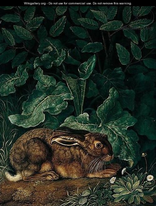 A Hare Surrounded By Foliage, Daisies And Clover In The Foreground - Jakob Philippe Hackert