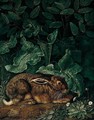 A Hare Surrounded By Foliage, Daisies And Clover In The Foreground - Jakob Philippe Hackert