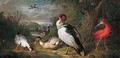A Muscovy Duck, A Red Ibis And Other Fowl In A Landscape - Tobias Stranover