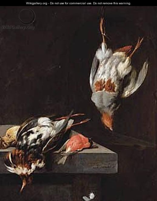 Still Life With A Ruff, Bullfinch, And A Pippit On A Ledge, And A Partridge Hanging From A Nail - Jan Vonck