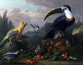 Toucan with Other Birds - (after) Boggi, Giovanni