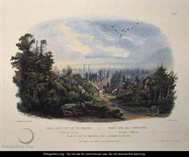 Forest Scene on the Tobihanna, Alleghany Mountains - (after) Bodmer, Karl