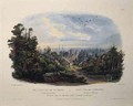 Forest Scene on the Tobihanna, Alleghany Mountains - (after) Bodmer, Karl