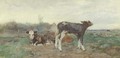 Calves in a pasture - Willem Van Der Nat