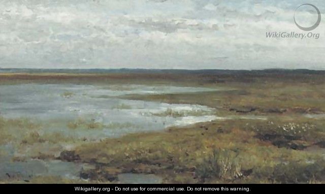 Wetland at dusk - Willem Roelofs