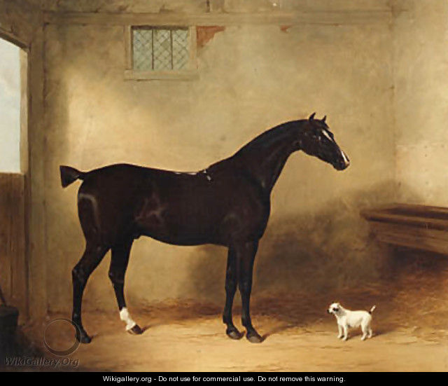 A Bay Hunter and Dog in a Stable - William Barraud