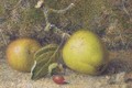 Still-life of apples on a mossy bank with a rosehip - William B. Hough