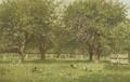 Chickens in an orchard - Willem De Famars Testas