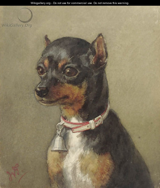 A portrait of a dog - Willem De Famars Testas