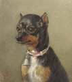 A portrait of a dog - Willem De Famars Testas