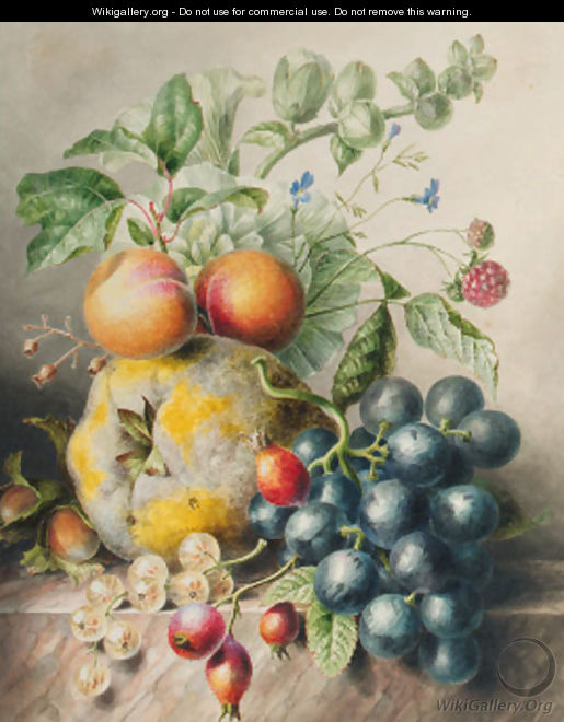 Fruits - Willem Hekking
