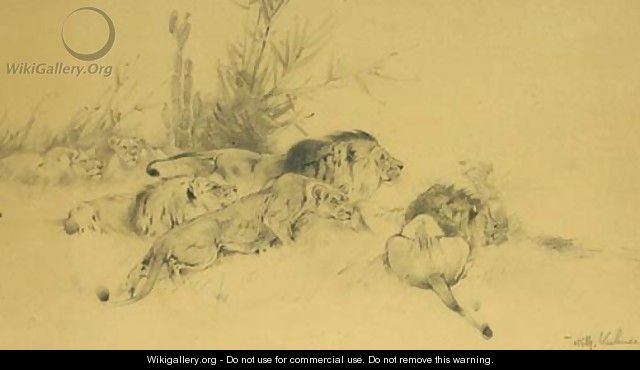 Lion Group - Wilhelm Kuhnert