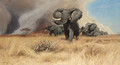 Elephants - Wilhelm Kuhnert