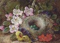 Apple blossom, pansies and a bird