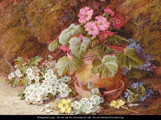 A geranium in a flower pot with primroses - Vincent Clare
