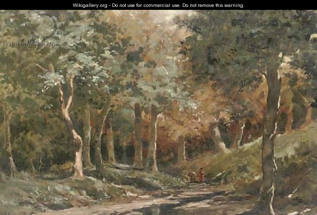 A walk in the woods - Vincenzo Giovannini