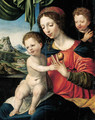 The Virgin and Child with the Infant Saint John the Baptist - Vincent Sellaer