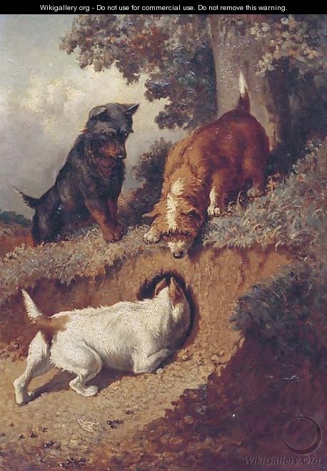 Chasing rabbits - Vincent de Vos