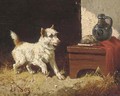 A terrier surprised by mice - Vincent de Vos