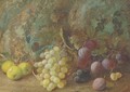Still life of apples, plums and grapes in a basket on a mossy bank - Vincent Clare