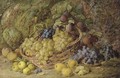 Grapes, apples, plums and blueberries in a wicker basket - Vincent Clare