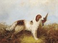 A gun dog with a pheasant - William Tom Warrener