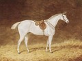 A saddled grey hunter in a stable - Joseph Mallord William Turner