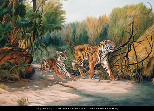 Tigers emerging from the Jungle - Urs Eggenschwiler