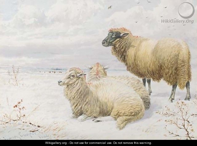 Sheep resting in the snow 2 - Thomas Sidney Cooper