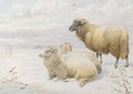 Sheep resting in the snow 2 - Thomas Sidney Cooper