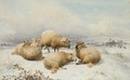 Sheep in the snow 2 - Thomas Sidney Cooper