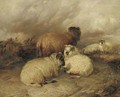 Sheep in a moorland landscape - Thomas Sidney Cooper