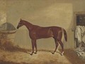 The Derby winner 'Daniel O'Rourke' in a stable - Thomas W. Bretland