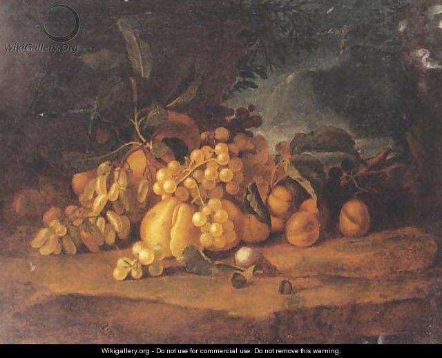 Grapes, peaches and plums on a forest floor - Tobias Stranover