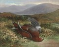 Dead grouse in a landscape - Tom Hold