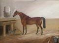 A bay hunter and a canine companion in a stable - Thomas Pain