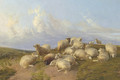 Sheep at Canterbury Meadow - Thomas Sidney Cooper