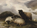 Mountain sheep - Thomas Sidney Cooper