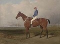 A bay steeple-chaser, with jockey up, the course beyond - Thomas Goode