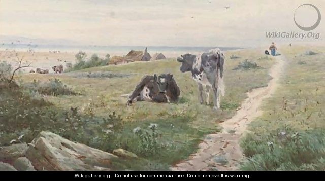 Cows resting above the coast - Thomas Lloyd