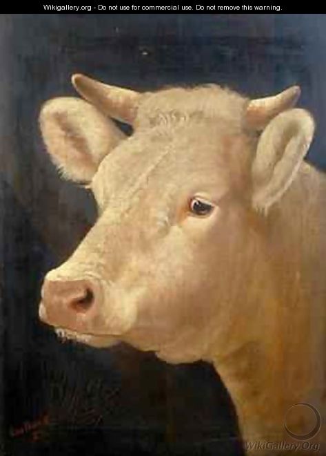Head of a Cow - Lou Burk