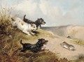 Terriers rabbiting - William Morris