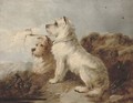 Scotties on a summit - William Morris