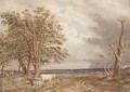 Near Minstead, New Forest, Hampshire, looking towards the Isle of Wight - William (Turner of Oxford) Turner