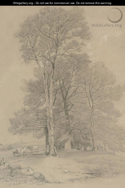 Study of trees - William Alfred Delamotte