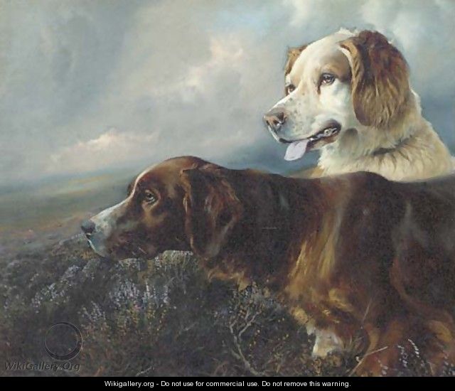 Setters on a moor - William Woodhouse